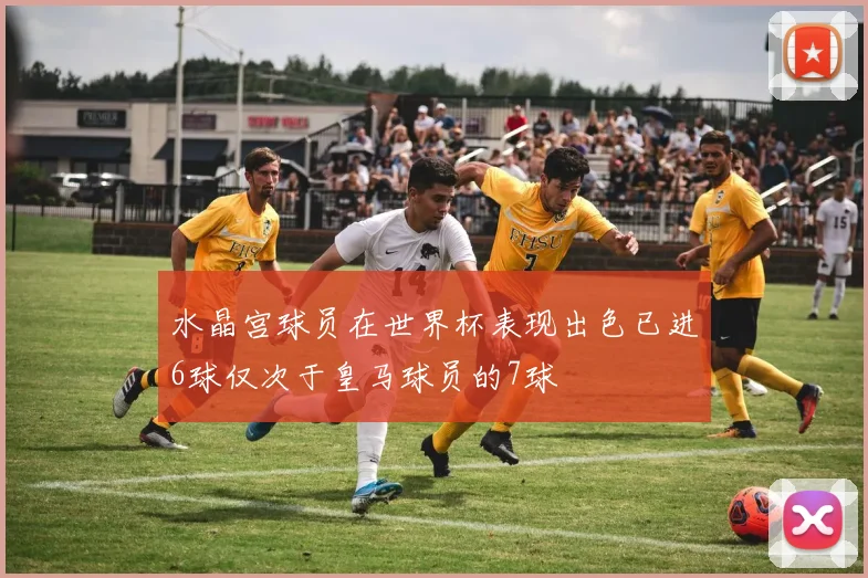 水晶宫球员在世界杯表现出色已进6球仅次于皇马球员的7球