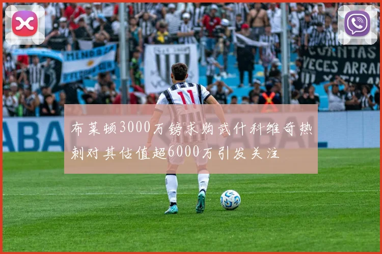 布莱顿3000万镑求购武什科维奇热刺对其估值超6000万引发关注